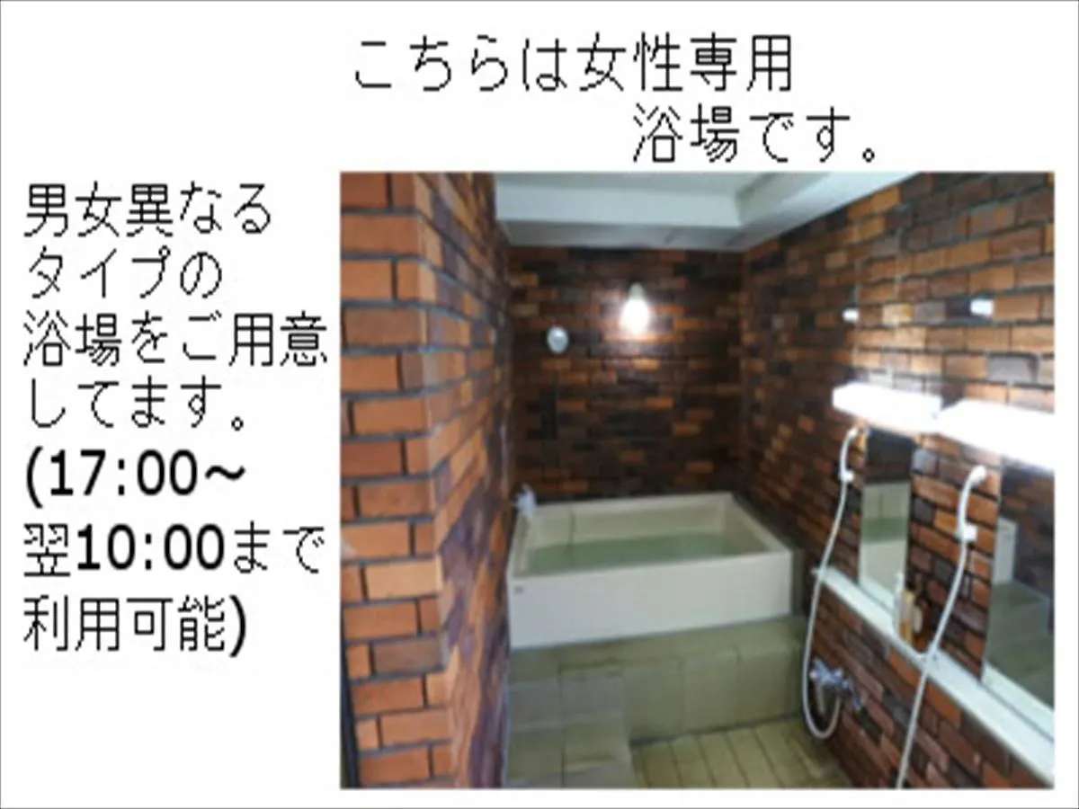 Muroran Plaza Hotel 3*,